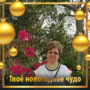 Фотография от Нина Толмачева