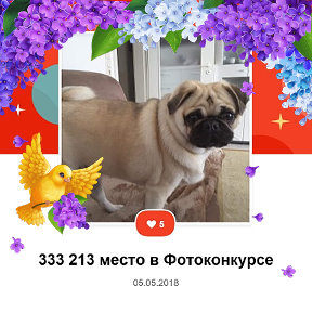 Фотография от Татьяна Миллер