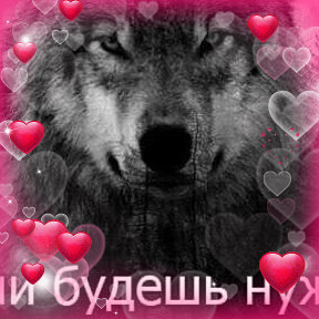 Фотография от Исламбек Маккам Махмутов🇰🇬✌️💫🐺🦊🌙