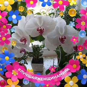 Фотография от Орхидея Новоалександровска