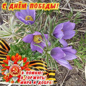 Фотография от Е🌺вге🌺ния🌺 🌹 Большакова🌷