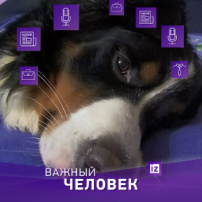 Фотография от Василий Пахтусов