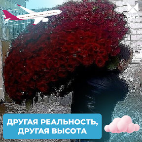 Фотография от Темур Темур