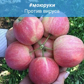 Фотография от музаа каааааааааааааа