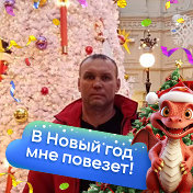 Николай Поликарпов