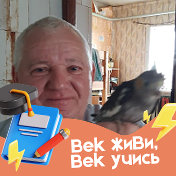 Виктор Новиков