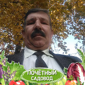 дмитрий чепелев