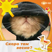 Кот Чеширский