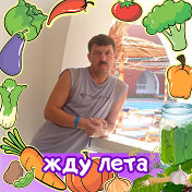 Алексей Киселёв