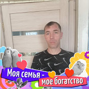 Владимир Новиков