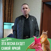 Вадим Новиков