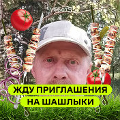 владимир пономарев