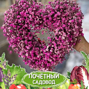 🌷Весна🌷 🌺🌺🌺