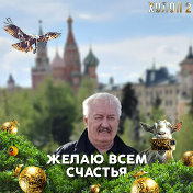 Владимир Костин