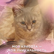 Марина Петченко