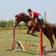 Светлана Сотник