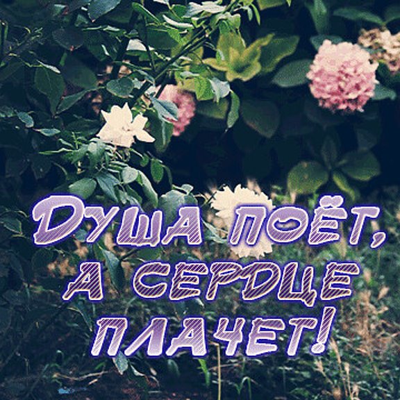 Моя душа болит моя душа поет. Моя душа болит моя душа поет. Моя душа болит моя душа поет. Когда душа поет. Если душа поет.