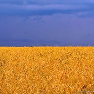 Валентина Таскаева