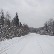 Жамшид Тангиров