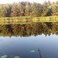 Григорий Куценко