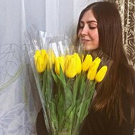 🌷svetlana 🌷