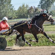 Алексей Хорев