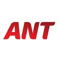 Ant -