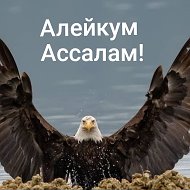 Хасан У