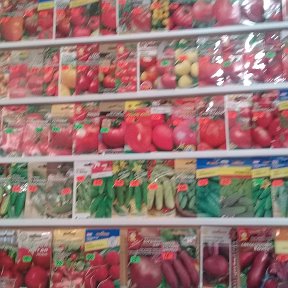 Фотография "В нашем магазине огромный ассортимент семян овощных и цветочных культур в наличии и под заказ. Добро пожаловать! )))"