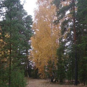 Фотография от наталья ИВАШКОВА(МАРТЫНОВСКАЯ)