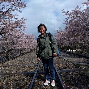Фотография "Сакура в Японии, апрель 2019."