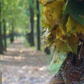 Фотография "Осень, осень! Лес остыл и листья сбросил..."