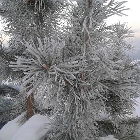 Фотография от Наталья Елохина