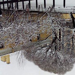 Фотография "Питер- на границе зимы и весны 23 февраля 2016г."
