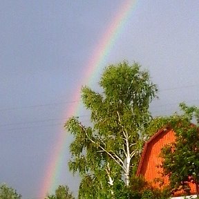 Фотография от татьяна устроительница