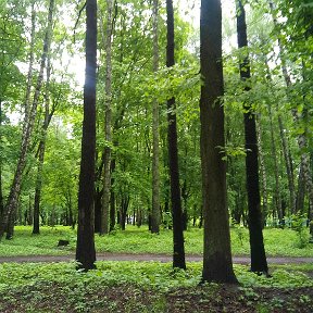 Фотография от Ольга Голобурдина(Безбородова)