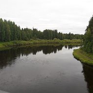 Алексей Петров