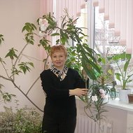 Елена Крылова