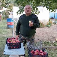 Валерий Немкович