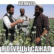 Просто Вася