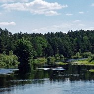 Галина Тарасовец