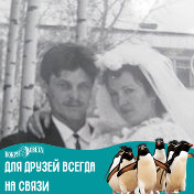 Владимир и Мария Шишкарёвы