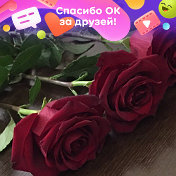 ☼Светлaнoчкa☼ ➳ ღღღ ➳