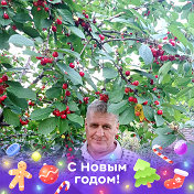 Дмитрий Савинецкий