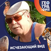 Сергей Гачегов