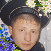 Дмитрий Цибин