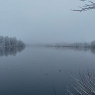 Алексей Евдокимов