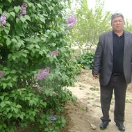 Рахим Худибаев