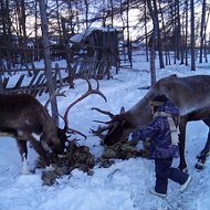 Юра Козичев