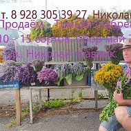 Николай Травник